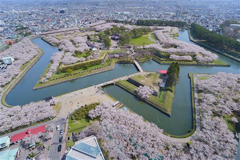 五稜郭タワーから見た五稜郭公園